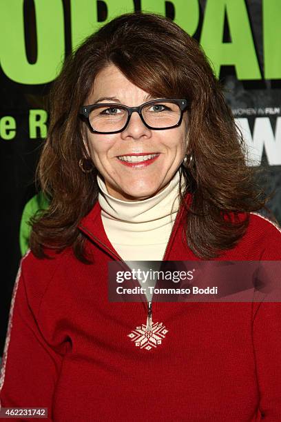 Dr. Stacy L. Smith attends the Women In Film Presents Ninth Annual Sundance Filmmakers Panel Presented By Skywalker Sound - 2015 Park City on January...