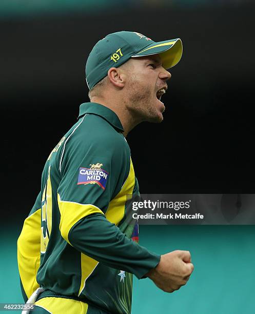 David Warner of Australia celebrates after taking a catch to dismiss Ambati Rayudu of India off the bowling of Mitchell Marsh during the One Day...