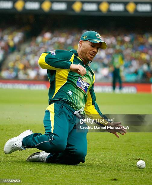 David Warner of Australia fields a ball during the One Day International match between Australia and India at Sydney Cricket Ground on January 26,...