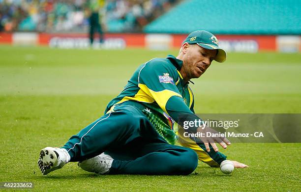 David Warner of Australia fields a ball during the One Day International match between Australia and India at Sydney Cricket Ground on January 26,...