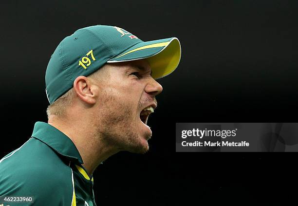 David Warner of Australia celebrates after taking a catch to dismiss Ambati Rayudu of India off the bowling of Mitchell Marsh during the One Day...