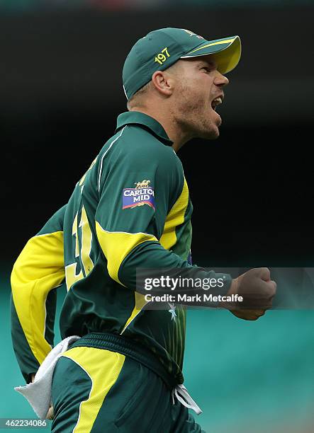 David Warner of Australia celebrates after taking a catch to dismiss Ambati Rayudu of India off the bowling of Mitchell Marsh during the One Day...