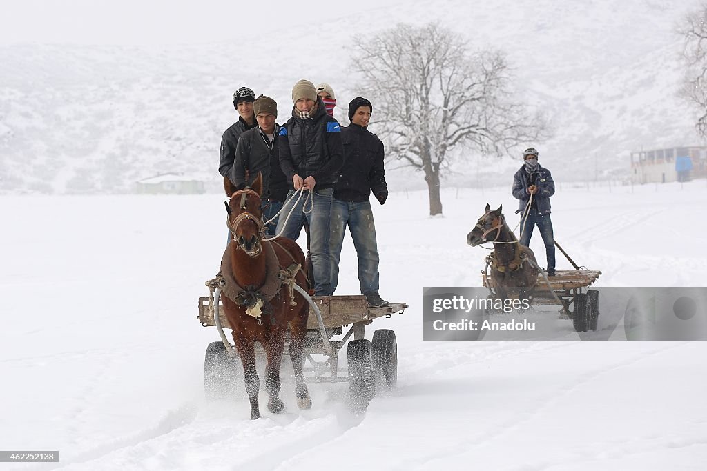 Water buffalos and horses washed in thermal spring in Bitlis