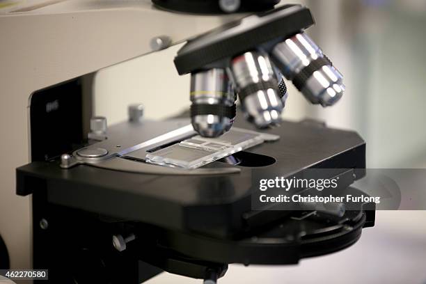 Sperm samples are monitored under a microscope at Birmingham Women's Hospital fertility clinic on January 22, 2015 in Birmingham, England. Birmingham...