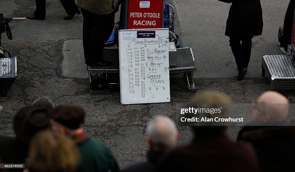 Plumpton Races