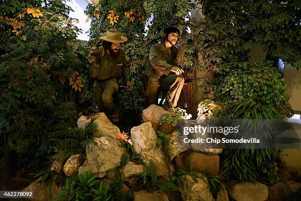 Mannequins of Cuban Revolutionary heroes Camilo Cienfuegos and Che Guevara are shown in a jungle diorama at the Museum of the Revolution January 25,...