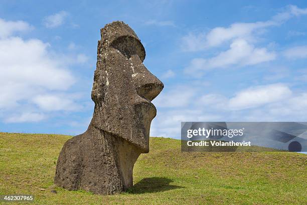 moai sculpture half buried in grass in a sunny day - moai statue stock pictures, royalty-free photos & images