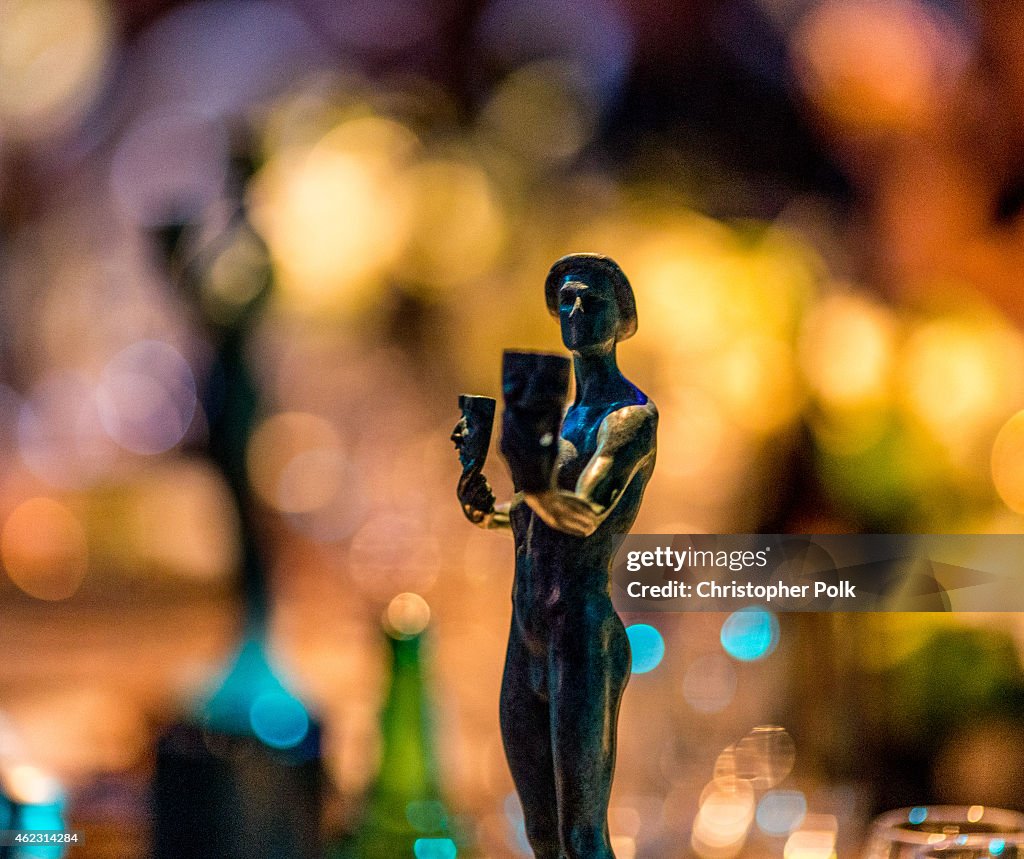 TNT's 21st Annual Screen Actors Guild Awards - Alternative Views