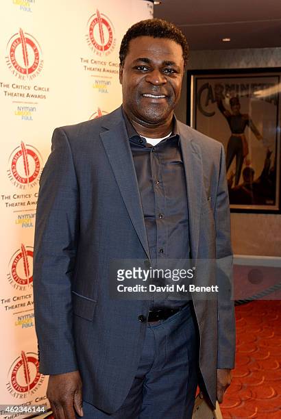 Danny Sapani attends the 2015 Critics' Circle Theatre Awards at The Prince of Wales Theatre on January 27, 2015 in London, England.