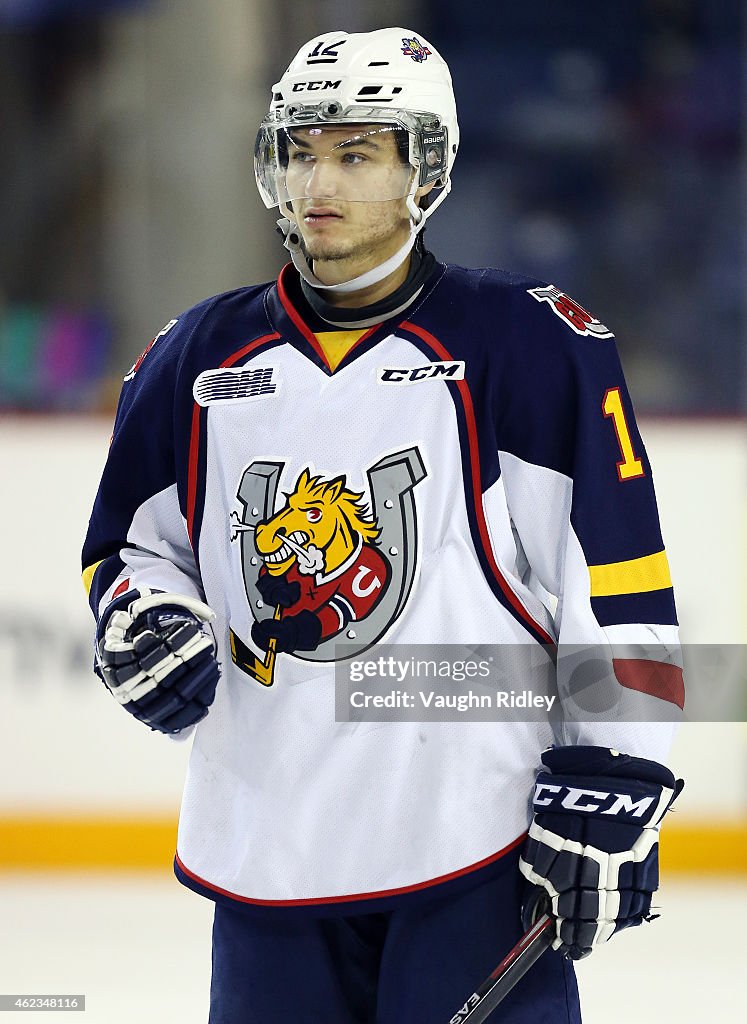 Barrie Colts v Niagara IceDogs