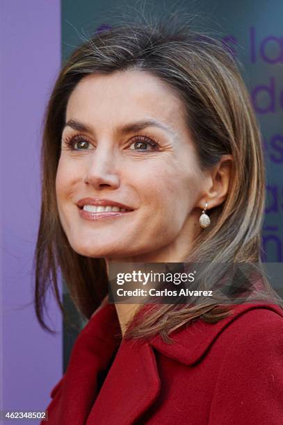 Queen Letizia of Spain attends a meeting at FEDER on January 27, 2015 in Madrid, Spain.