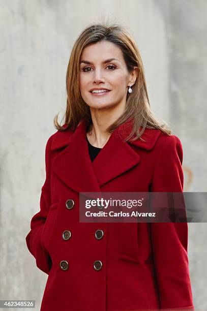 Queen Letizia of Spain attends a meeting at FEDER on January 27, 2015 in Madrid, Spain.