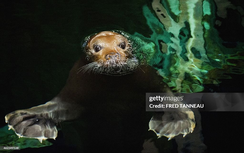 FRANCE-SEAL