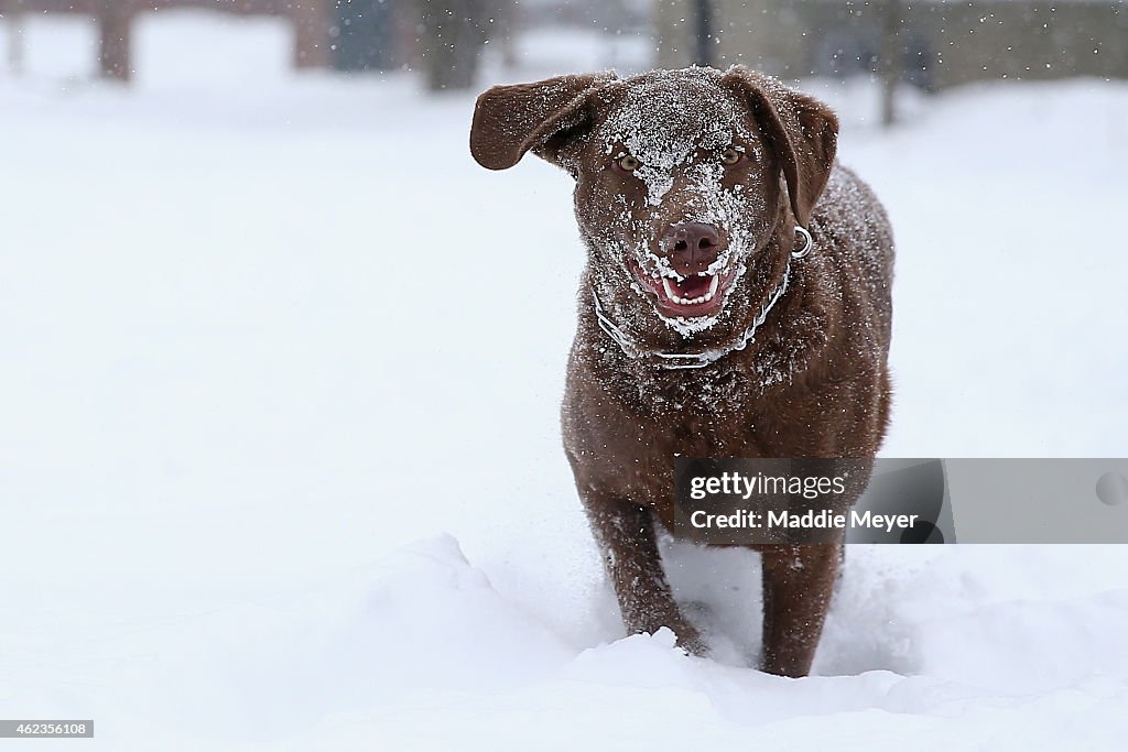 Blizzard Barrels Into Northeastern U.S.