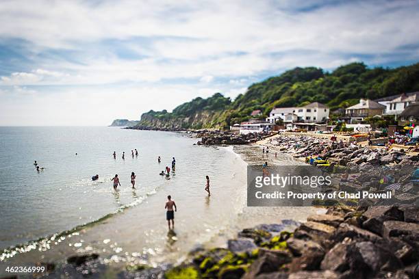 steephill cove beach, isle of wight south of uk - isle of wight stock pictures, royalty-free photos & images
