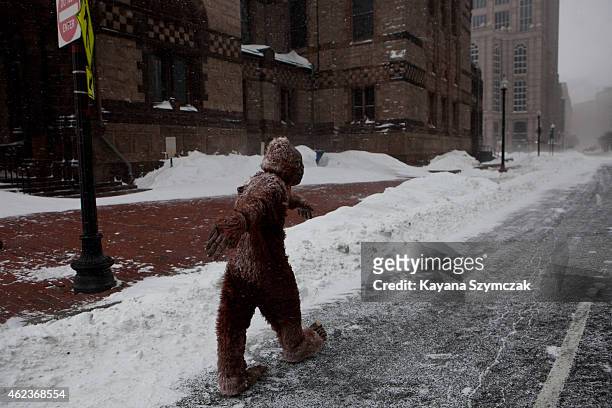 Pedestrian dressed as "bigfoot" makes their way through the strong wind and snow in the Back Bay neighborhood during a blizzard on January 27, 2015...
