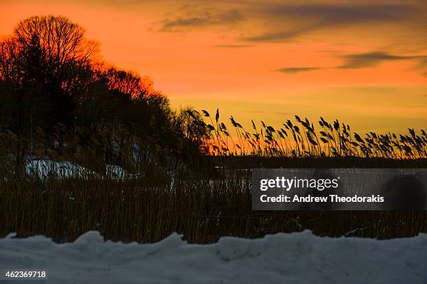 The sun sets over the Long Island Sound after a severe winter storm passed through on January 27, 2015 in Stony Brook, New York. Snow levels from...