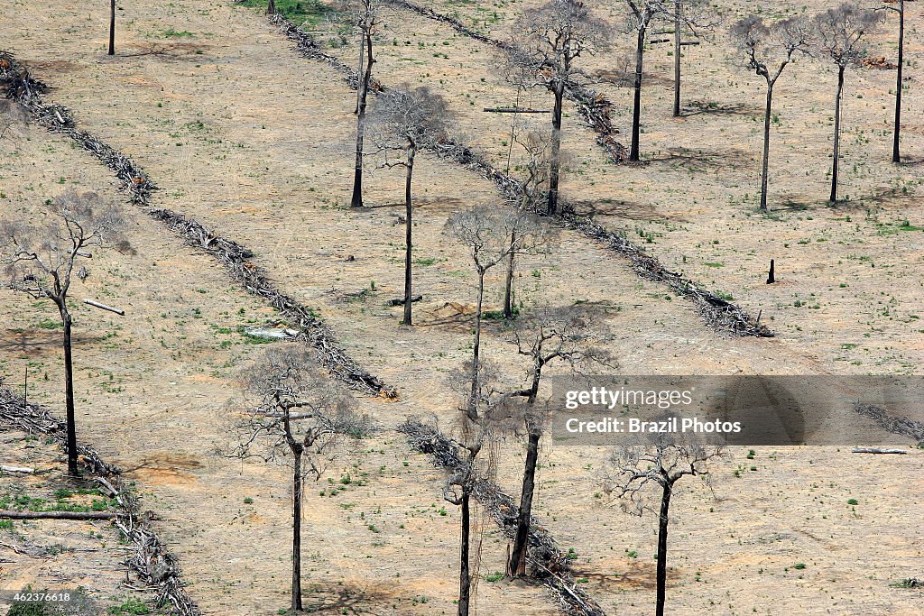 Amazon rainforest clearance for agriculture, near Santarem...