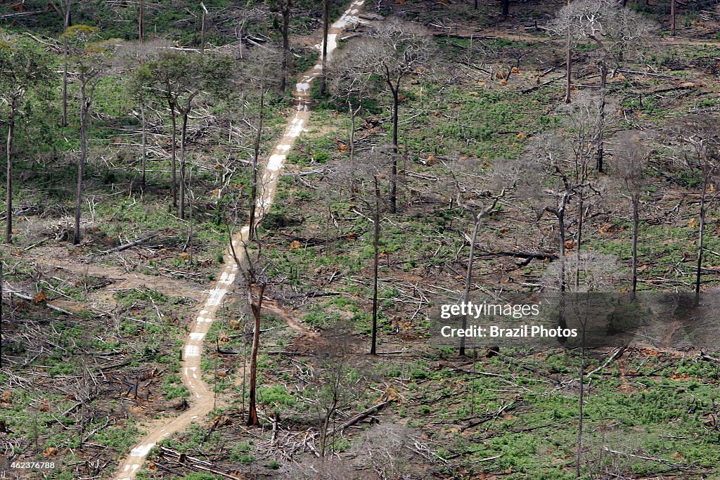 Amazon rainforest clearance for agriculture, near Santarem...