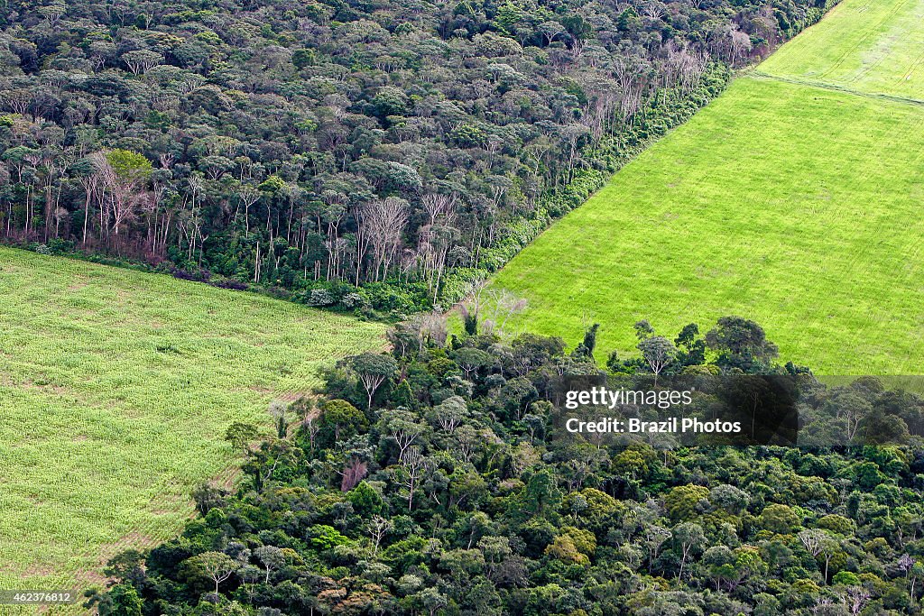 Farm management, soy plantation in Amazon rainforest near...