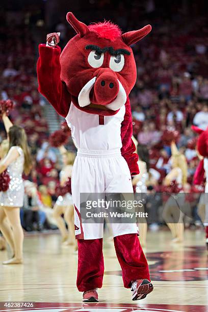 Mascot Big Red of the Arkansas Razorbacks performs during a timeout against the Tennessee Volunteers at Bud Walton Arena on January 27, 2015 in...
