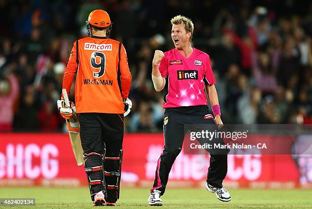 Brett Lee of the Sixers celebrates getting the wicket of Sam Whiteman of the Scorchers during the Big Bash League final match between the Sydney...