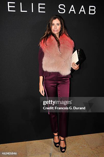 Christina Pitanguy attends the Elie Saab show as part of Paris Fashion Week Haute Couture Spring/Summer 2015 on January 28, 2015 in Paris, France.