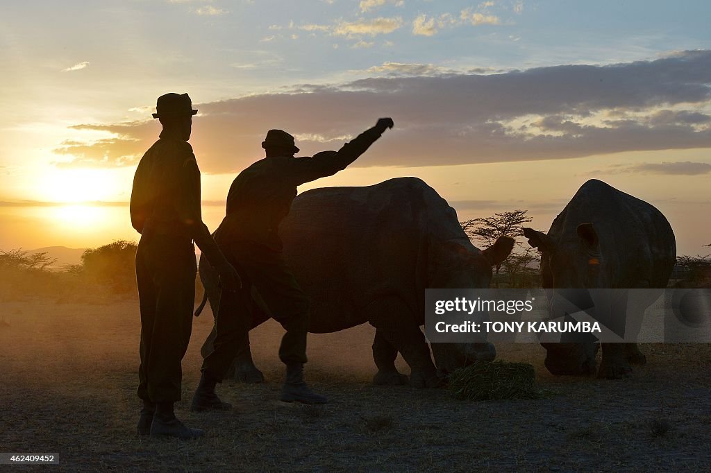 KENYA-ENVIRONMENT-POACHING-WILDLIFE-RHINOS