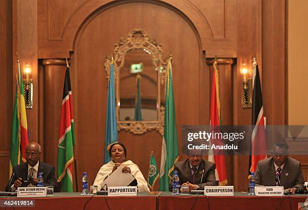 Eprdf Ethiopia Seyoum Mesfin Photos and Premium High Res Pictures - Getty Images