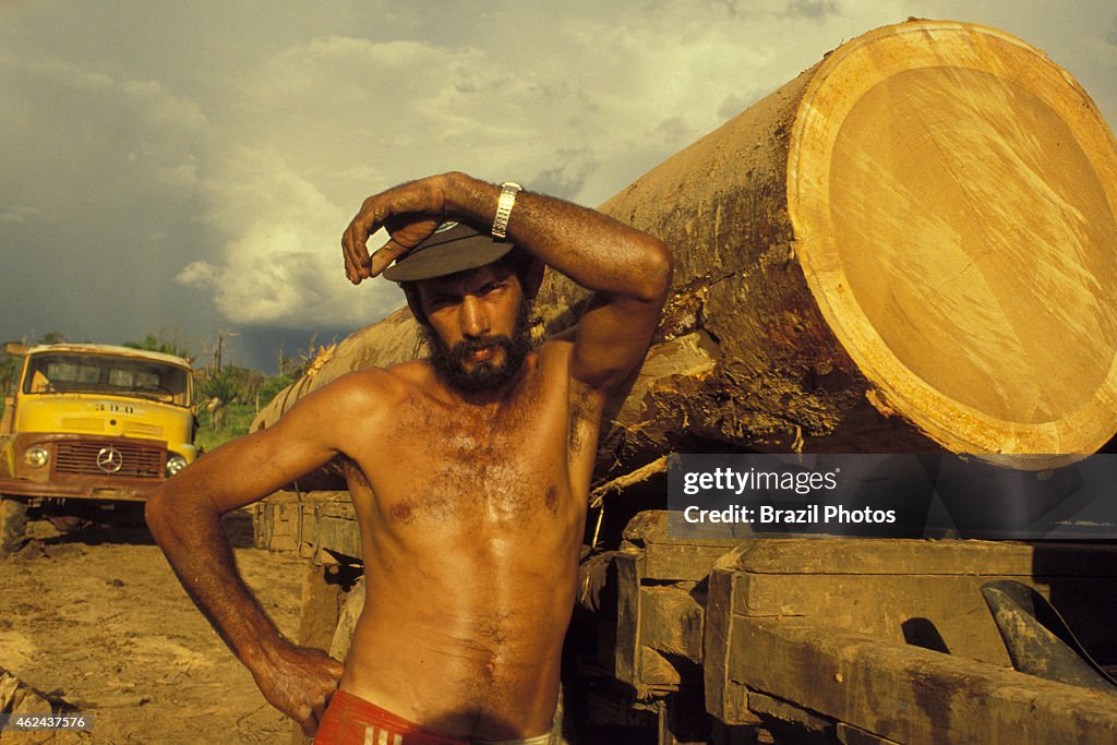 Logging, Amazon rainforest deforestation, transportation of heavy and ...