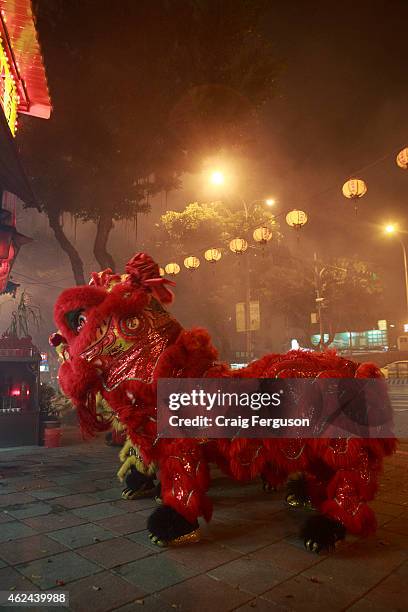 Temple lions take part in the three day festival to mark the birthday of the Lord of the Green Mountain, a popular deity in Chinese culture.
