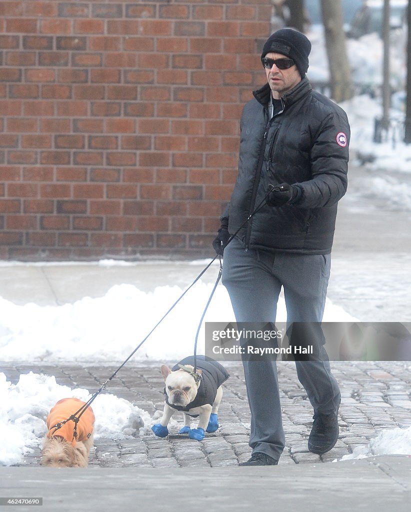 Celebrity Sightings In New York City - January 29, 2015