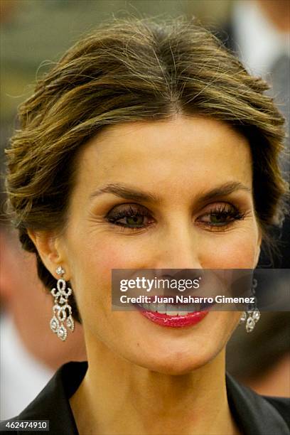 Queen Letizia of Spain receives an audience a representation of the attendees the 'I International Symposium on Cancers of the Skin' at Zarzuela...