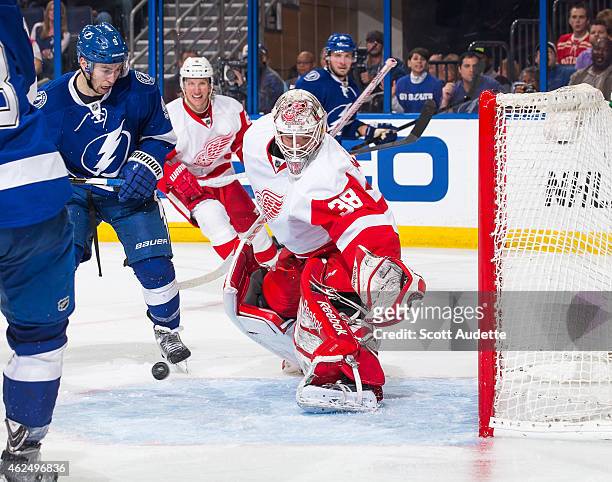 Tyler Johnson of the Tampa Bay Lightning looks for the puck against goalie Tom McCollum of the Detroit Red Wings during the third period at the...
