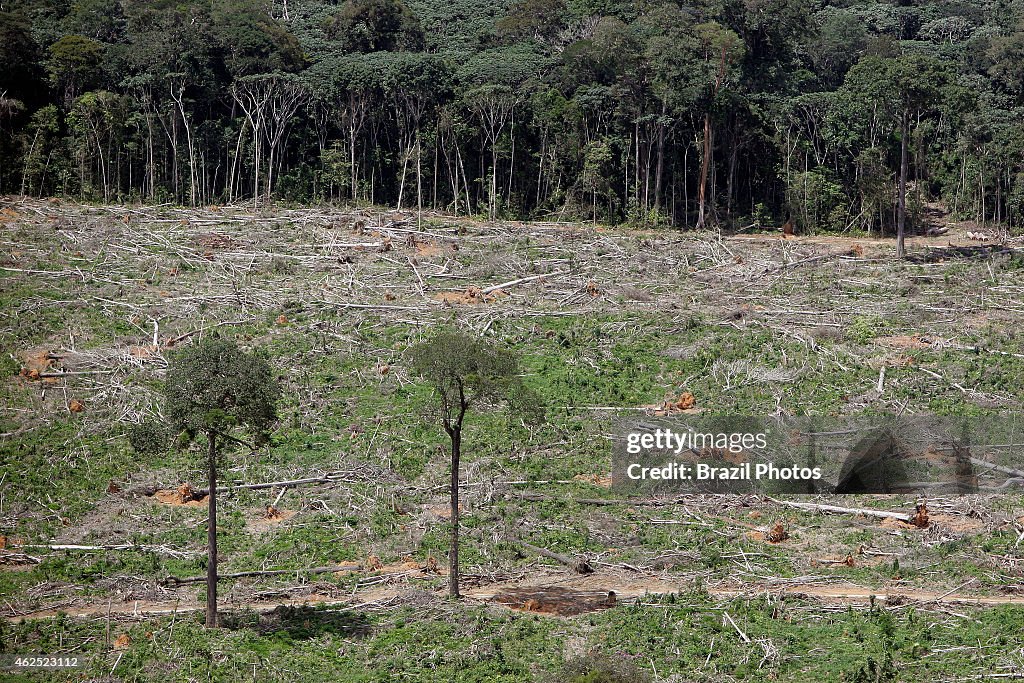 Amazon rainforest clearance for agriculture, near Santarem...