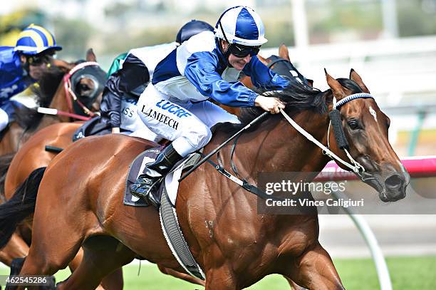 Linda Meech riding Averau winning Race 5, during Melbourne Racing at Flemington Racecourse on January 31, 2015 in Melbourne, Australia.