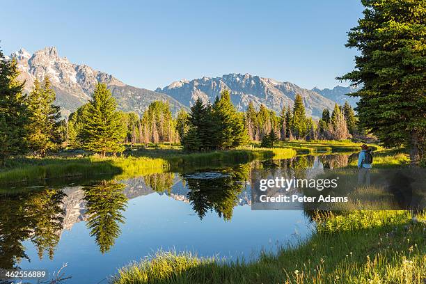 grand teton national park, wyoming - grand teton stock pictures, royalty-free photos & images