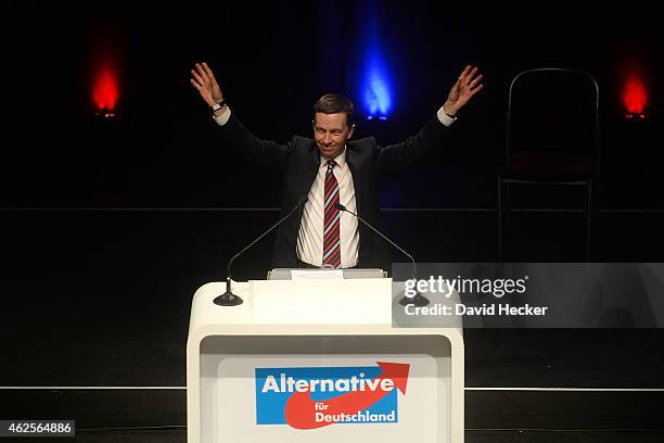 Bernd Lucke, co-head of the Alternative fuer Deutschland political party, gestures at the AfD federal convention on January 31, 2015 in Bremen,...