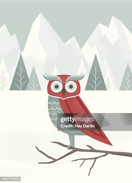 illustrazioni stock, clip art, cartoni animati e icone di tendenza di gufo inverno - gufo