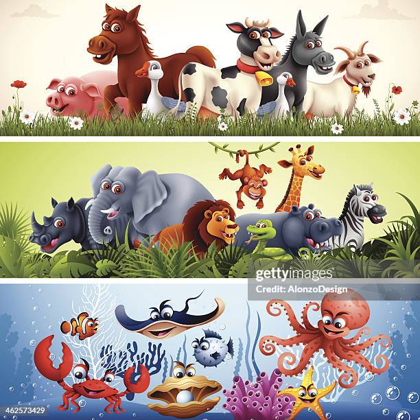 animal banner - meeresboden stock-grafiken, -clipart, -cartoons und -symbole