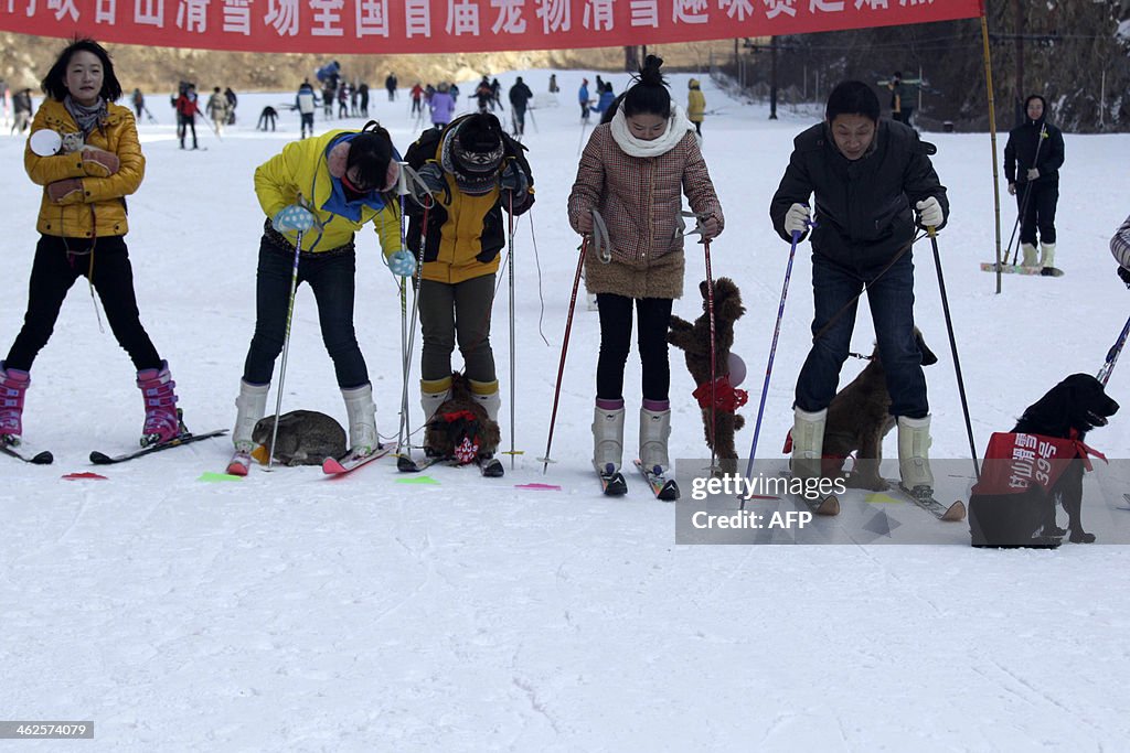 CHINA-ANIMAL-SKI-OFFBEAT