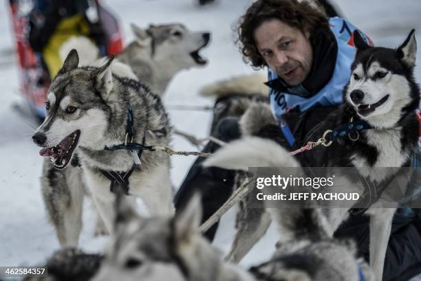 Musher and his dogs are pictured before the start of a stage of the Grande Odyssee sledding race across the Alps on January 13, 2014 in...