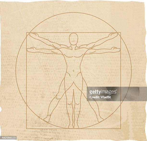 illustrazioni stock, clip art, cartoni animati e icone di tendenza di l'uomo vitruviano - parte del corpo umano