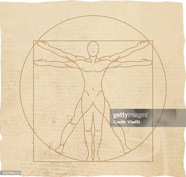 vitruvian man - leonardo da vinci stock illustrations