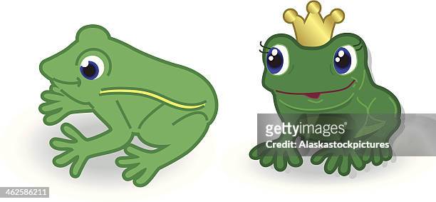 two frogs - frog prince stock illustrations