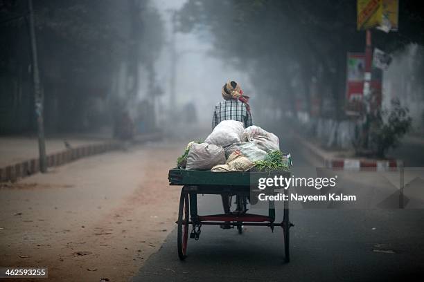 the vegetable-walla - winter bangladesh fotografías e imágenes de stock