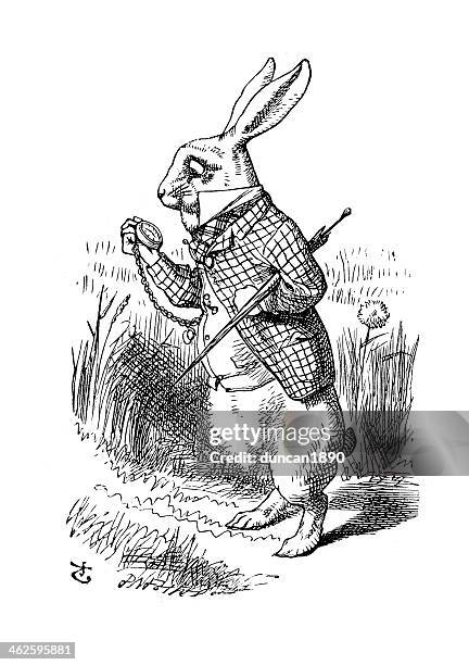 alice in wonderland - the white rabbit - alice in wonderland fictional character stock illustrations