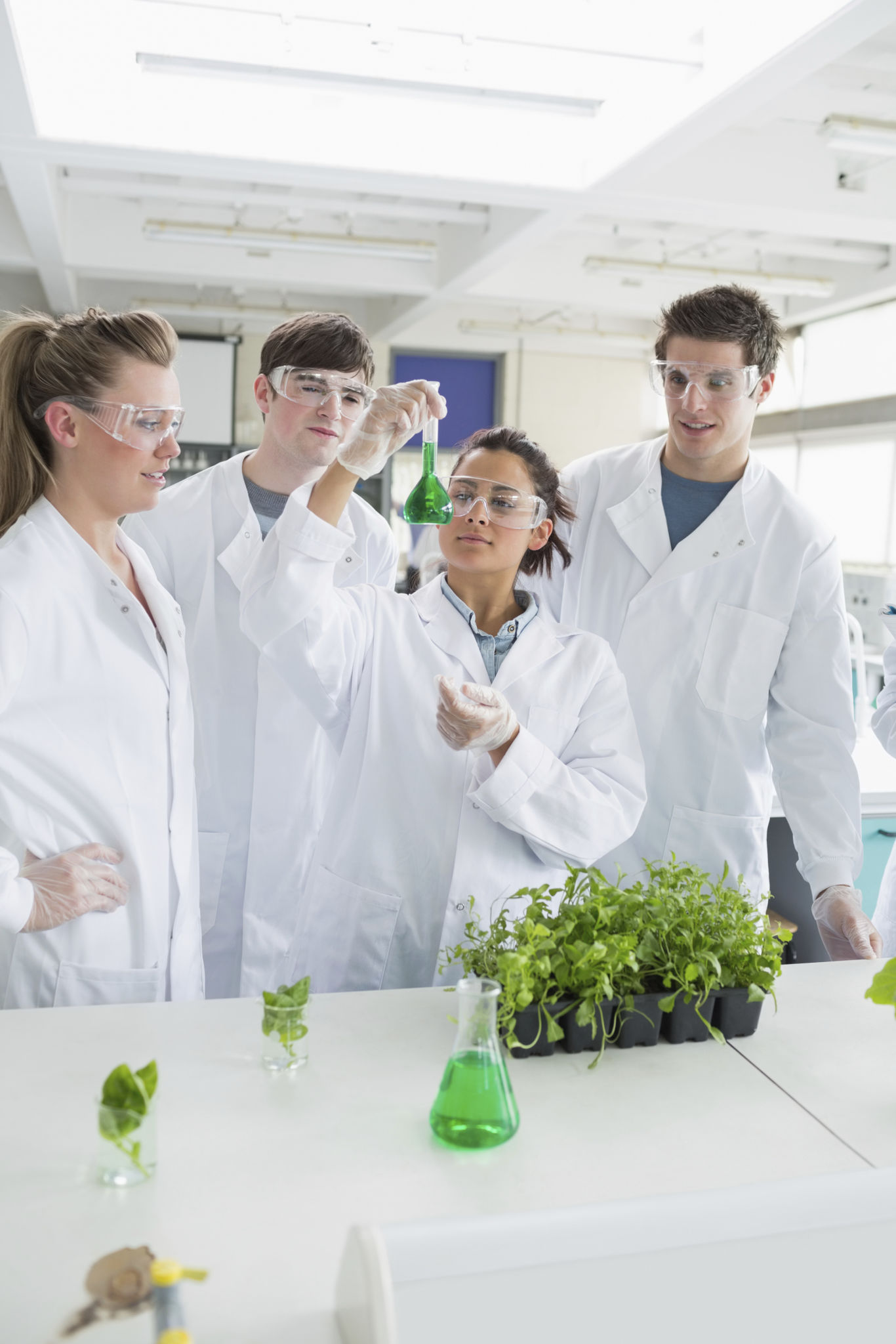 Four students doing research on plants Four students doing research on plants