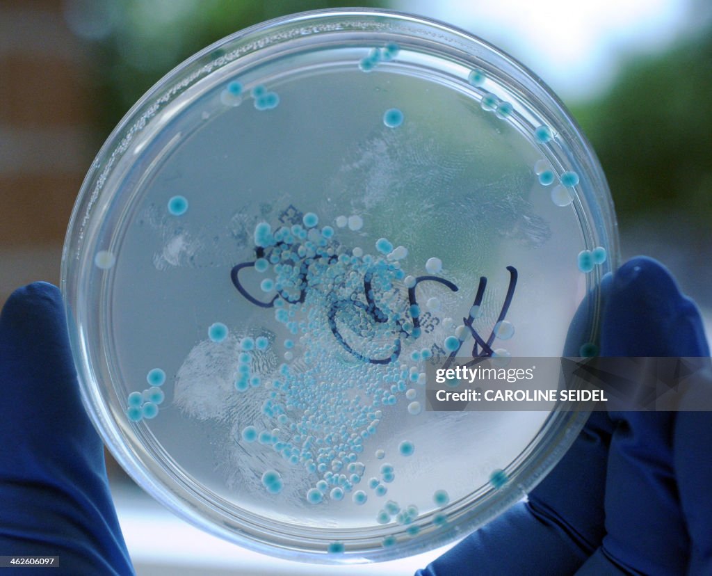 GERMANY-SPAIN-EU-FOOD-DISEASE-EHEC