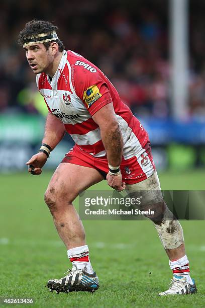 Dan Murphy of Gloucester during the LV=Cup match between Gloucester Rugby and Ospreys at Kingsholm Stadium on January 31, 2015 in Gloucester, England.